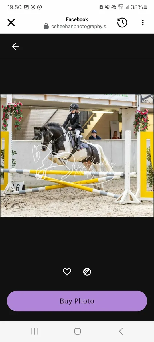 128 show jumping/pony club pony
