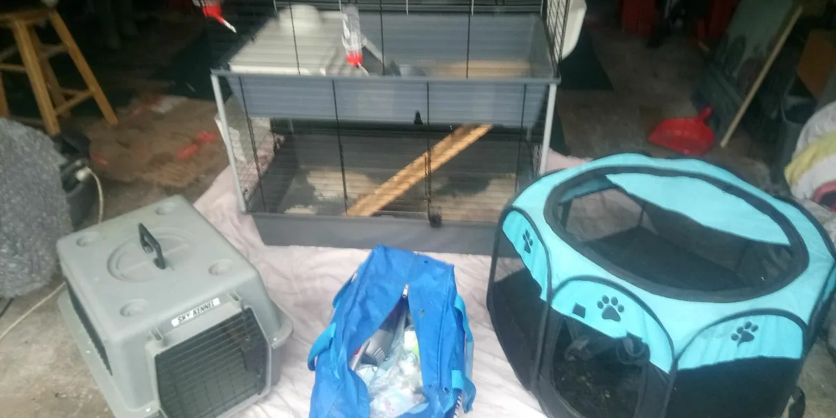 Rabbit Cage & Accessories