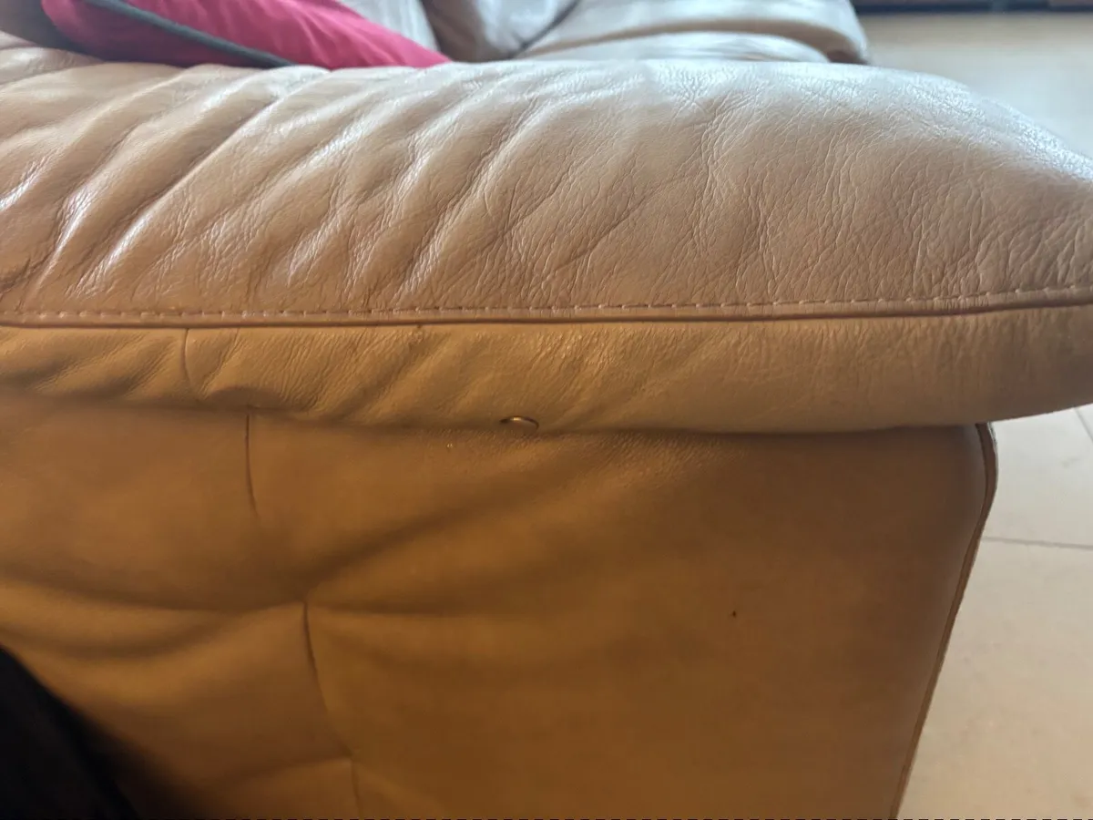 Couch /sofa