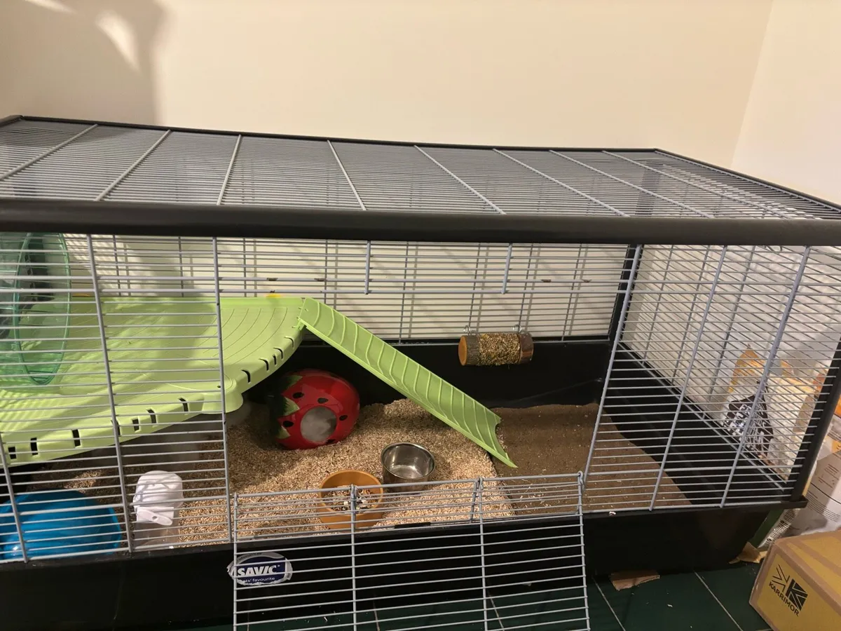 small animal cage