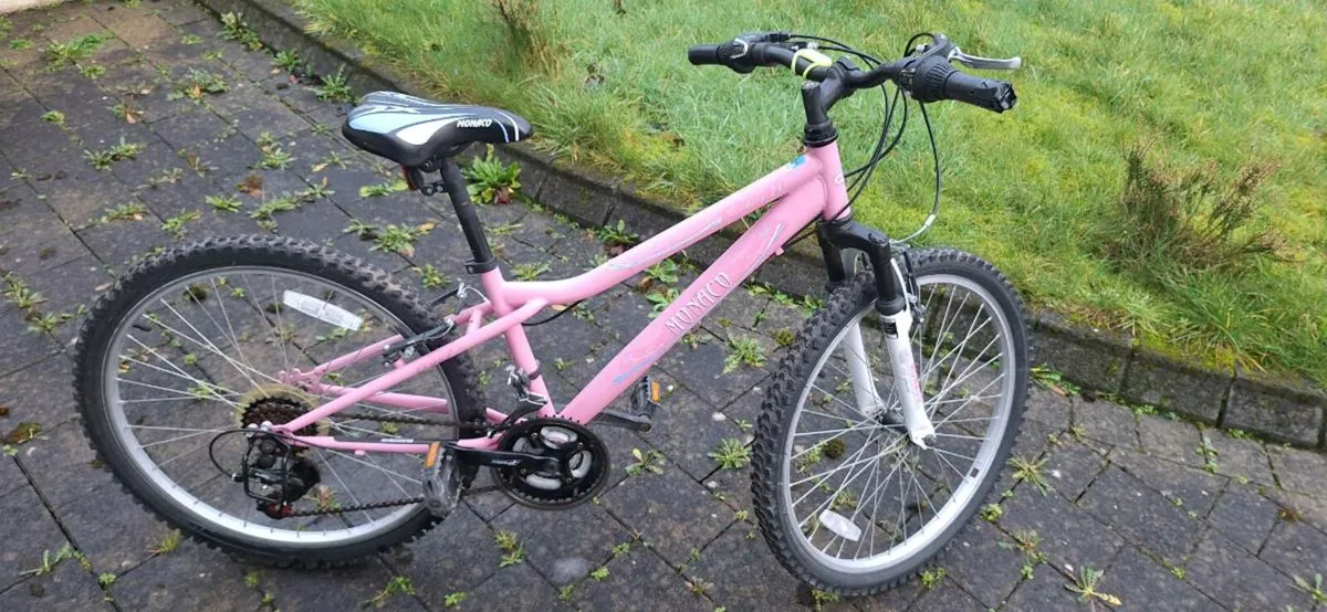 Monaco 20” Girls Bike | 18 Speed | €65