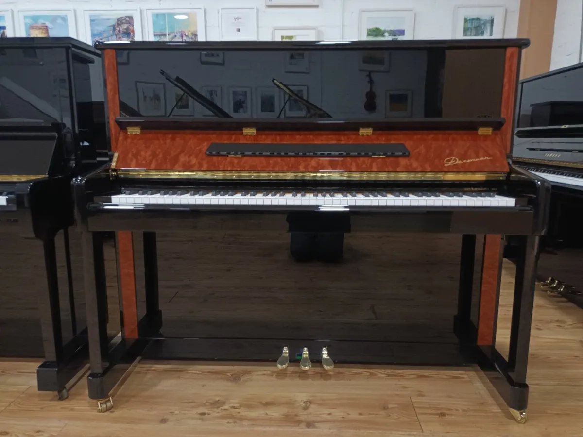 New Danemann Special Edition