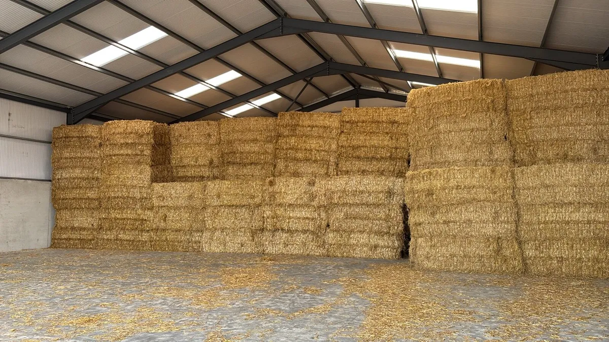 Square bales of straw