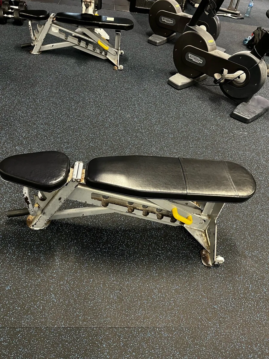Commercial indigo weight bench