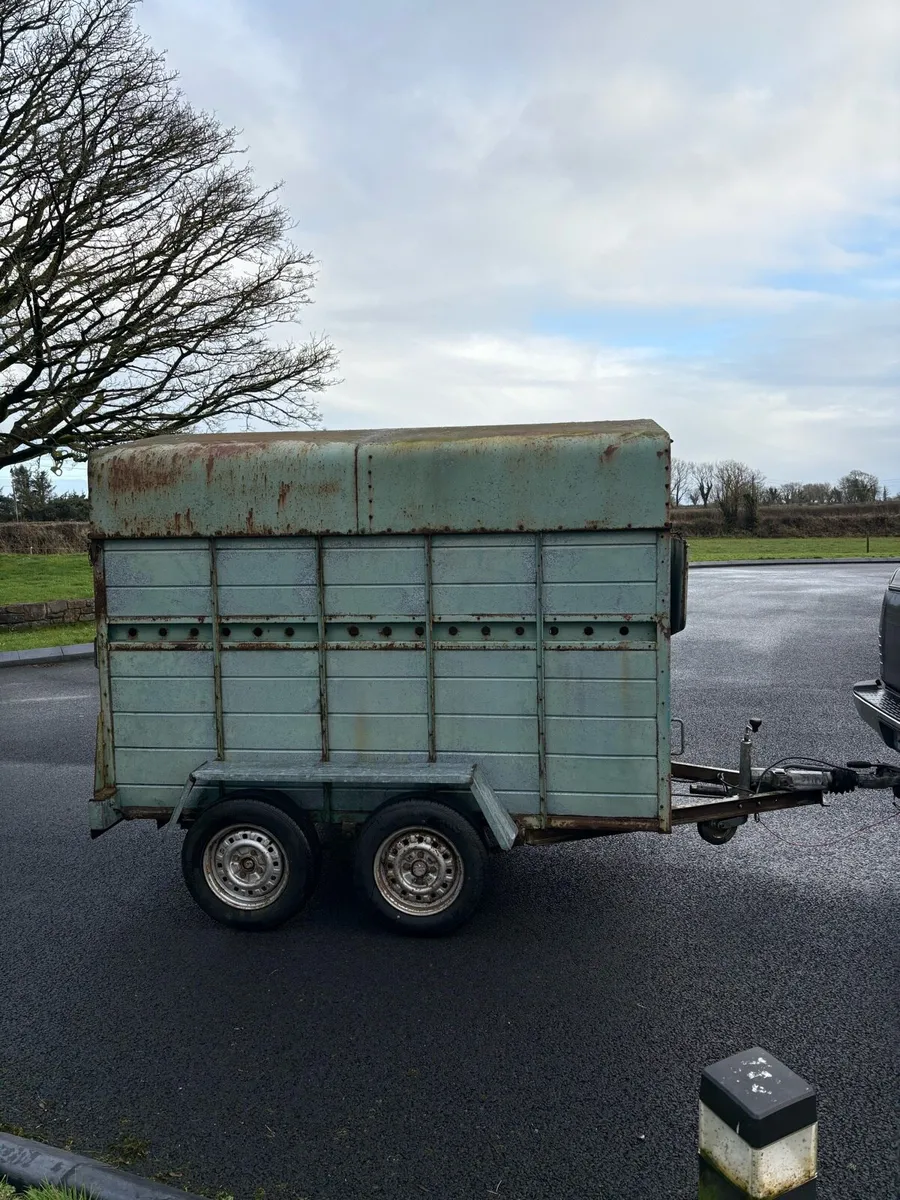 Cattle trailer
